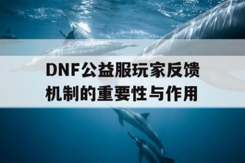 DNF公益服玩家反馈机制的重要性与作用