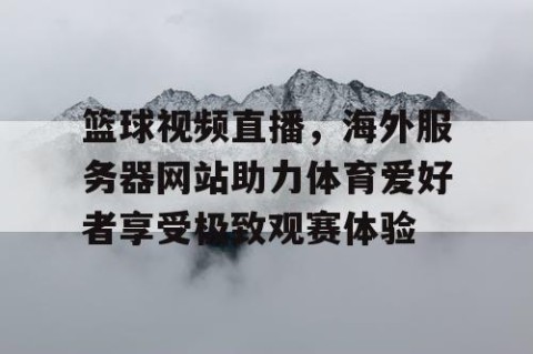 篮球视频直播,海外服务器网站助力体育爱好者享受极致观赛体验