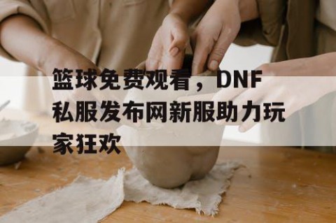 篮球免费观看，DNF私服发布网新服助力玩家狂欢