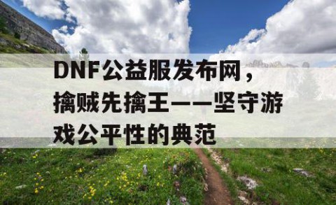 DNF公益服发布网，擒贼先擒王——坚守游戏公平性的典范