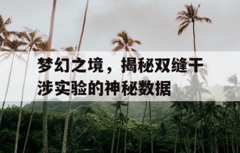 梦幻之境，揭秘双缝干涉实验的神秘数据