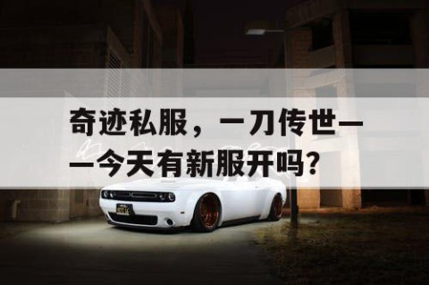 奇迹私服，一刀传世——今天有新服开吗？