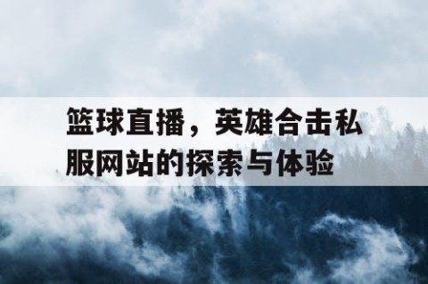 篮球直播，英雄合击私服网站的探索与体验
