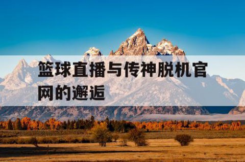 篮球直播与传神脱机官网的邂逅