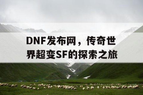 DNF发布网，传奇世界超变SF的探索之旅