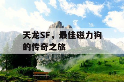 天龙SF，最佳磁力狗的传奇之旅