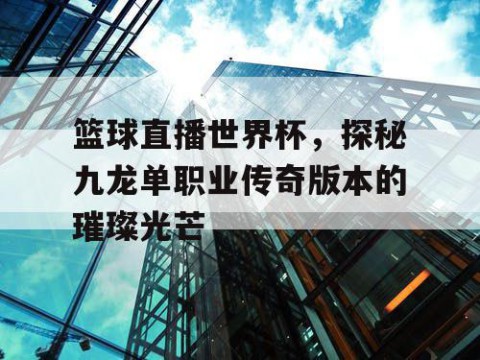 篮球直播世界杯，探秘九龙单职业传奇版本的璀璨光芒