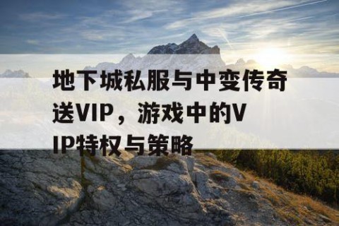 地下城私服与中变传奇送VIP，游戏中的VIP特权与策略