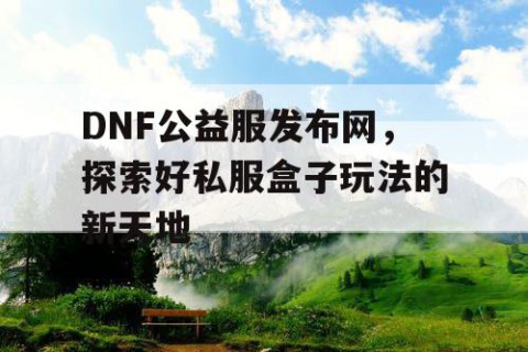 DNF公益服发布网，探索好私服盒子玩法的新天地