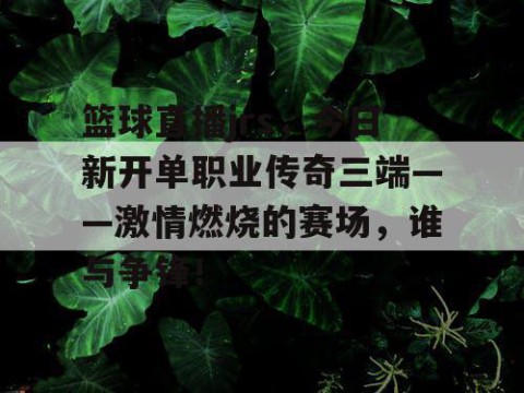 篮球直播jrs,今日新开单职业传奇三端——激情燃烧的赛场,谁与争锋!