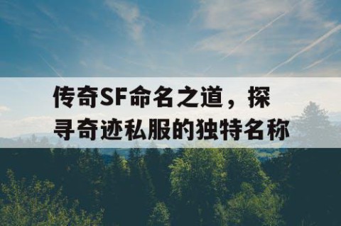 传奇SF命名之道，探寻奇迹私服的独特名称