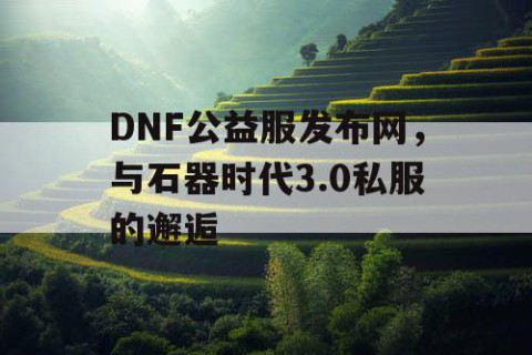 DNF公益服发布网，与石器时代3.0私服的邂逅