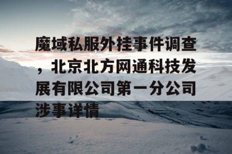 魔域私服外挂事件调查，北京北方网通科技发展有限公司第一分公司涉事详情