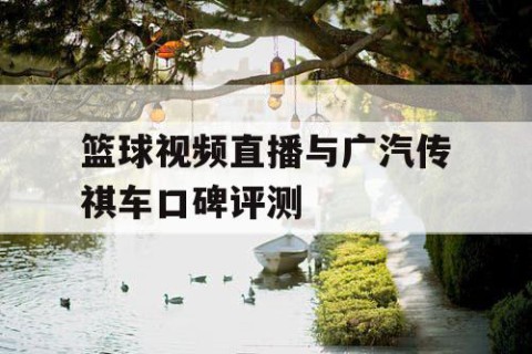 篮球视频直播与广汽传祺车口碑评测