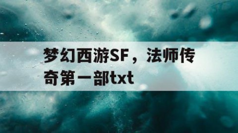 梦幻西游SF，法师传奇第一部txt