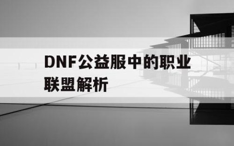 DNF公益服中的职业联盟解析