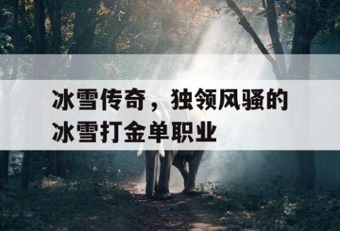 冰雪传奇，独领风骚的冰雪打金单职业