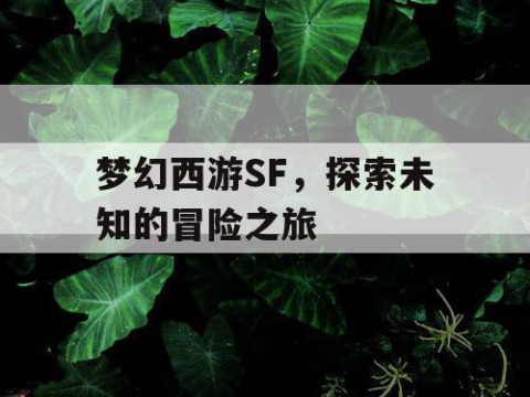 梦幻西游SF，探索未知的冒险之旅