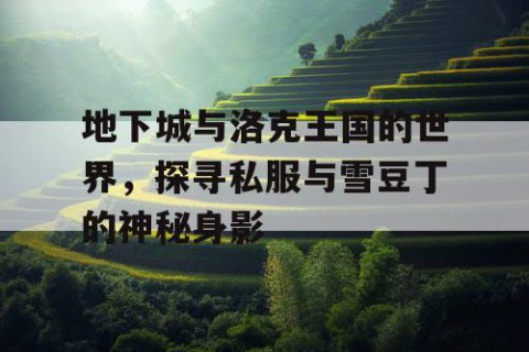 地下城与洛克王国的世界，探寻私服与雪豆丁的神秘身影