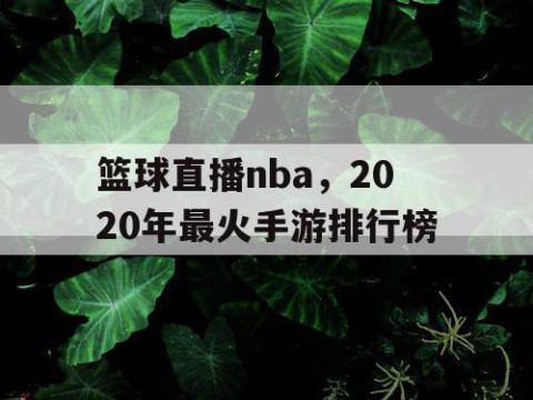 篮球直播nba，2020年最火手游排行榜