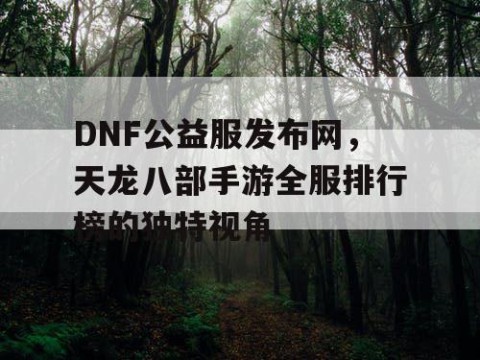 DNF公益服发布网，天龙八部手游全服排行榜的独特视角