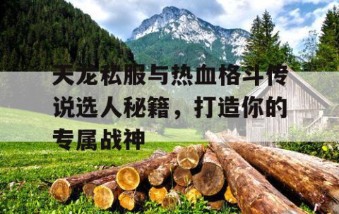 天龙私服与热血格斗传说选人秘籍，打造你的专属战神