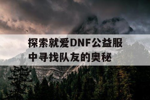 探索就爱DNF公益服中寻找队友的奥秘