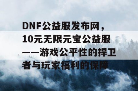 DNF公益服发布网，10元无限元宝公益服——游戏公平性的捍卫者与玩家福利的保障