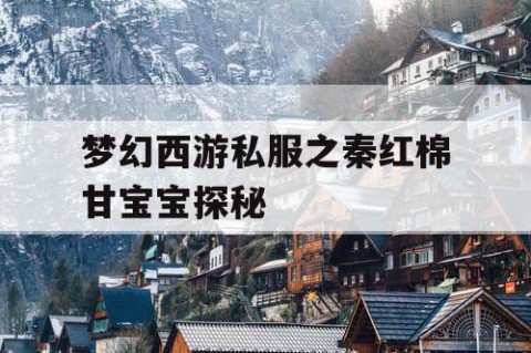 梦幻西游私服之秦红棉甘宝宝探秘