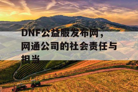 DNF公益服发布网，网通公司的社会责任与担当