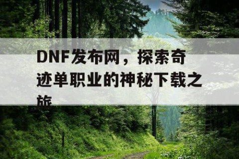DNF发布网，探索奇迹单职业的神秘下载之旅