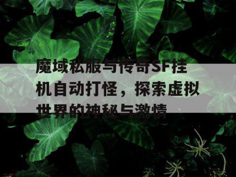 魔域私服与传奇SF挂机自动打怪，探索虚拟世界的神秘与激情