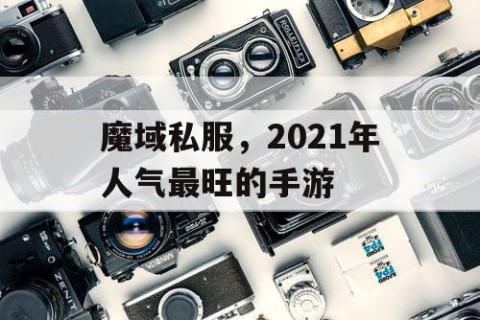 魔域私服，2021年人气最旺的手游