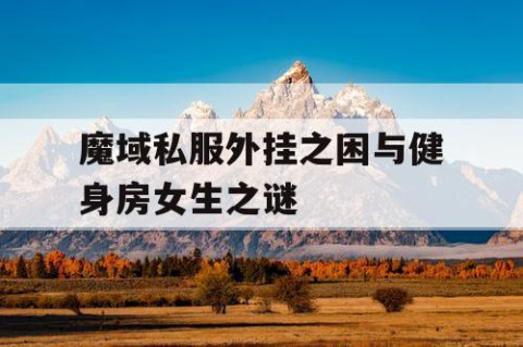 魔域私服外挂之困与健身房女生之谜