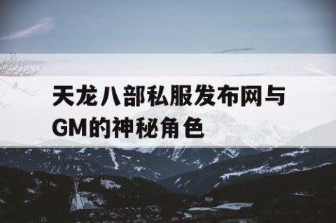 天龙八部私服发布网与GM的神秘角色