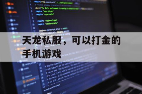 天龙私服，可以打金的手机游戏