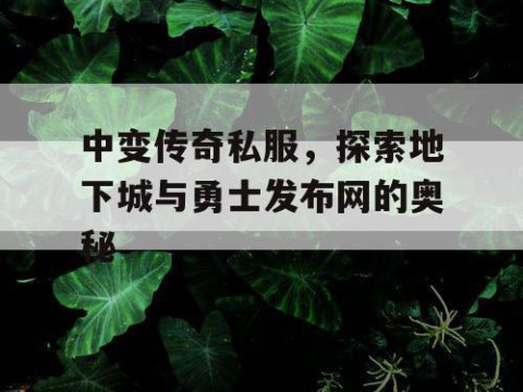 中变传奇私服，探索地下城与勇士发布网的奥秘