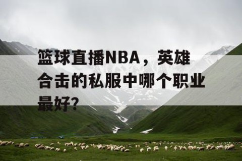 篮球直播NBA，英雄合击的私服中哪个职业最好？