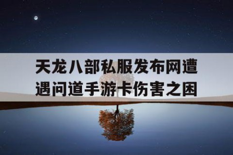 天龙八部私服发布网遭遇问道手游卡伤害之困