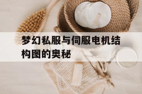 梦幻私服与伺服电机结构图的奥秘