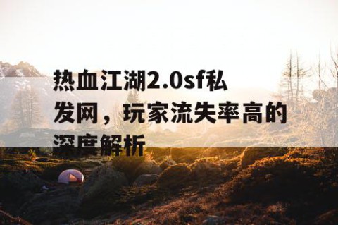 热血江湖2.0sf私发网，玩家流失率高的深度解析