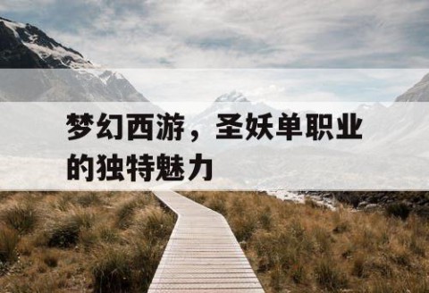 梦幻西游，圣妖单职业的独特魅力