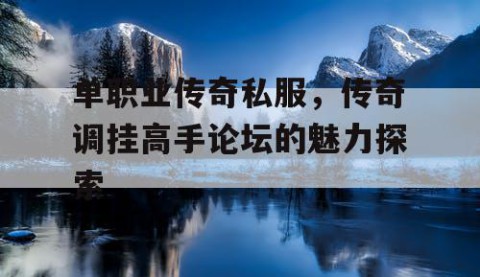 单职业传奇私服,传奇调挂高手论坛的魅力探索