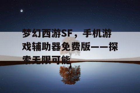 梦幻西游SF，手机游戏辅助器免费版——探索无限可能