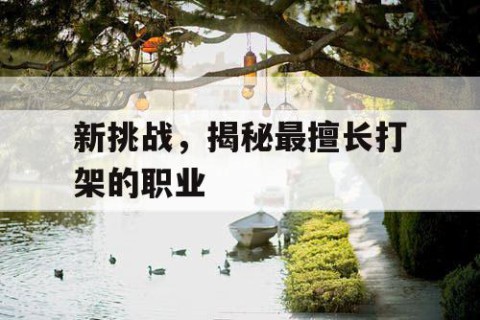 新挑战，揭秘最擅长打架的职业
