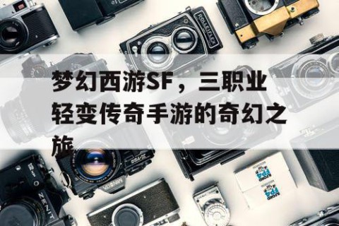 梦幻西游SF，三职业轻变传奇手游的奇幻之旅