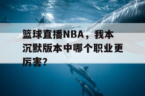 篮球直播NBA，我本沉默版本中哪个职业更厉害？