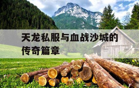 天龙私服与血战沙城的传奇篇章