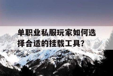 单职业私服玩家如何选择合适的挂载工具？