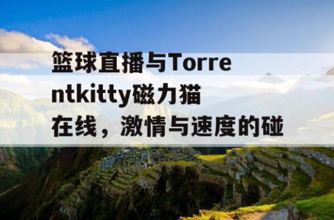篮球直播与Torrentkitty磁力猫在线,激情与速度的碰撞